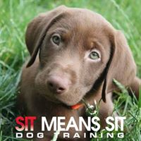 Sit Means Sit Raleigh