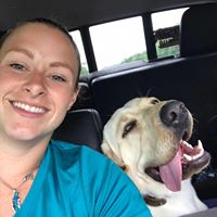 Off Leash K9 Training, Charlotte NC