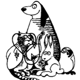 Paumanok Veterinary Hospital