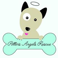 Potter’s Angels Rescue