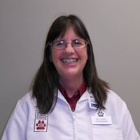 Akron Animal Hospital