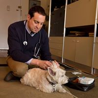 House Call Vet NYC