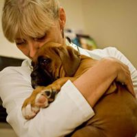 Livonia Veterinary Hospital