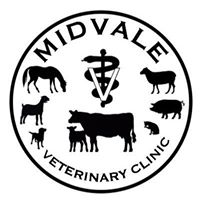 Midvale Veterinary Clinic