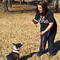Positive Pooch Training & Behavior