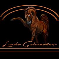 Lucho GuimarÃ£es Arabians