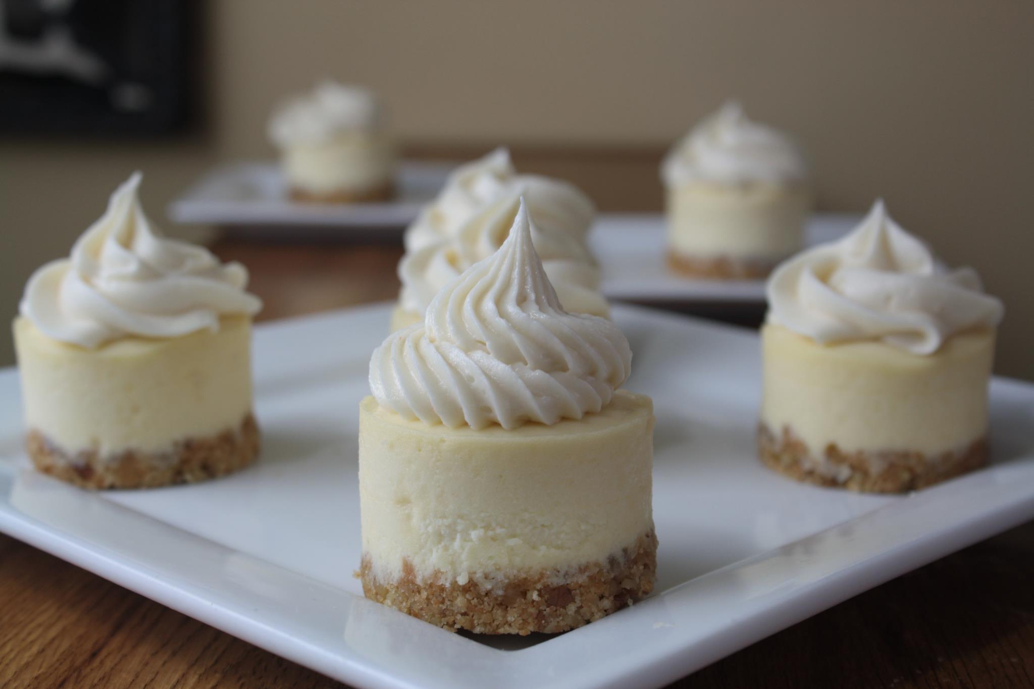 Eat My Cakes! Cheesecakes