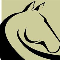 San Dieguito Equine Group, Inc.