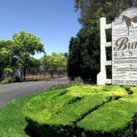 Burns Ranch Inc.