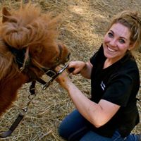 Kayla Coburn Equine Dentistry