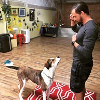 The Complete Canine