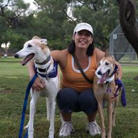Greyt Escape, Your Greyhounds Vacation Destination!
