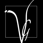 Vicki G Hair Salon & Day Spa