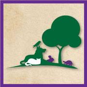 Clearlake Veterinary Clinic