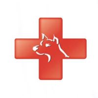 Affordable Animal Hospital Orange