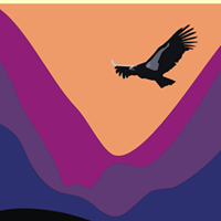Discovery Valley Animal Hospital