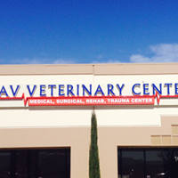 AV Veterinary Center