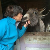 Holistic Veterinary Consultants – Blacksburg