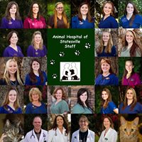 Animal Hospital of Statesville