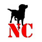 Lost & Found Dogs – North Carolina