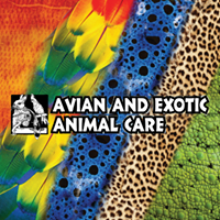 Avian and Exotic Animal Care