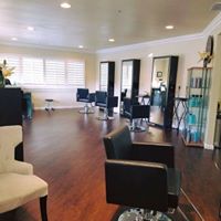 Shear Salon and Day Spa