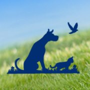 Chatham Animal Hospital Inc.