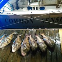 South Jersey Fishing Center