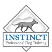 Instinct Dog Training