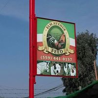 Elm Avenue Feed