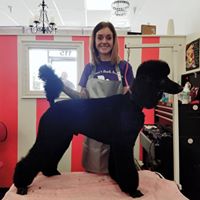 Brittney’s Bark Avenue