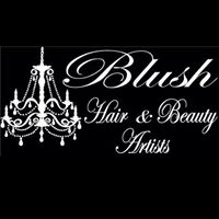 Blush Hair and Beauty Artists