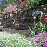 All Pets Animal Hospital & Rehabilitation Center