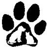 Surf City Pet Hospital