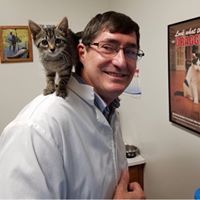 Lenzo Animal Hospital