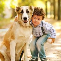South Granville Animal Hospital
