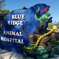 Blue Ridge Animal Hospital Inc.