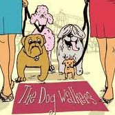 Long Beach Dog Walker Volunteers