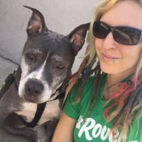 Out of the Box Grooming & Pet Care
