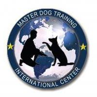 Beverly Hills Master Dog Training