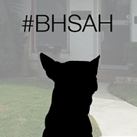 Beverly Hills Small Animal Hospital