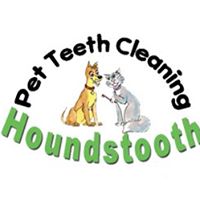 Houndstooth Pet Dental