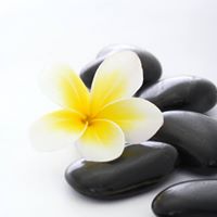 Spa madisons plus