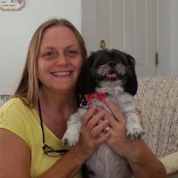 Cyndi’s Dog Sitting