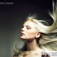 Howard Kurtz Salon