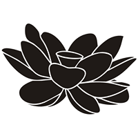 Sabbatical Beauty – Small Batch, Artisanal Asian Beauty Products