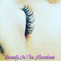 Beauty in the Meadows