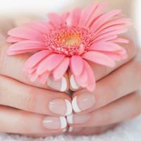 Daisy Nails Spa