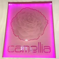 Camellia Nail Spa