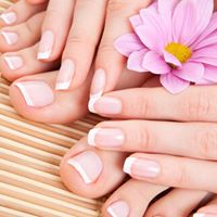 Plush Nail Bar